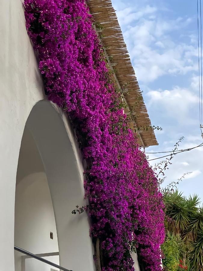 شقة Roberhouse Tragara 37 كابري المظهر الخارجي الصورة